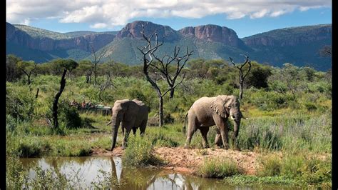 Waterberg Reserve - South Africa : Overview - YouTube