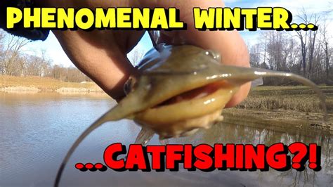 PHENOMENAL Winter CATFISHING?! One Fish EVERY 5 MINUTES! - YouTube