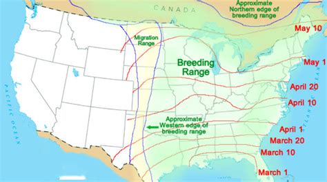 Hummingbird Migration Map 2023 – Nature Blog Network