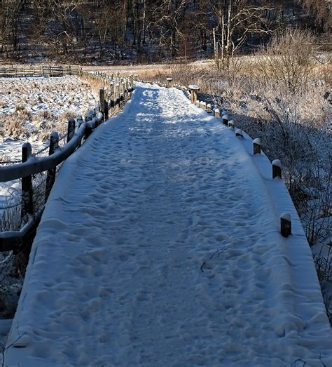 Log bridge - In sunlight a winterday 2014 Photograph by Leif Sohlman ...