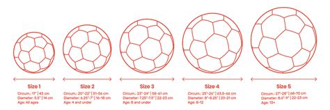 Soccer Ball | Football - Size 5 Dimensions & Drawings | Dimensions.com