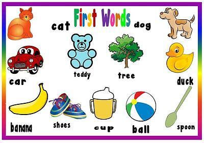 BABY FIRST WORDS - A4 LAMINATED POSTER- FIRST LEARNING- TODDLER EYFS | eBay