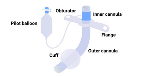 Tracheostomy Tubes: Types, Indications, and Risks (2023)