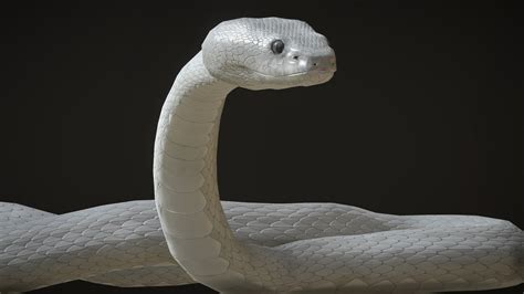 White Viper with animations - Buy Royalty Free 3D model by Bugawuga [821f40b] - Sketchfab Store