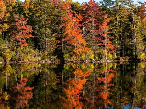 Fall Foliage Map 2018: When Autumn Leaves Peak In Pennsylvania ...