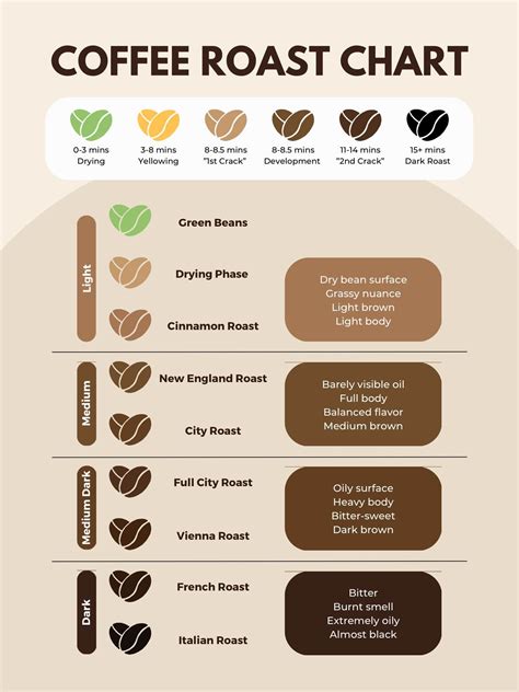 Be The Master! 4 Coffee Roasting Levels Chart: W/ Image & Guide - FNB ...