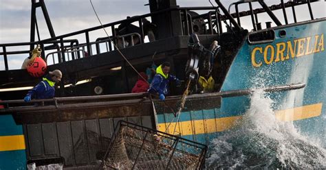 'Deadliest Catch'-22: Shutdown may ground crabbing fleet, spoil ...