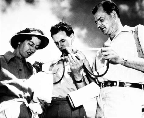 WEHI History: 1951 Mysterious Disease Outbreak Investigated | WEHI