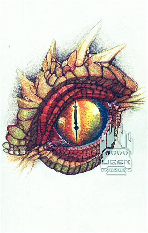 Color Pencil Dragon Eye by Liger-Inuzuka on DeviantArt