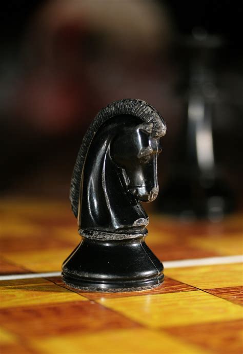 Файл:Chess knight 0965.jpg — Вікіпэдыя