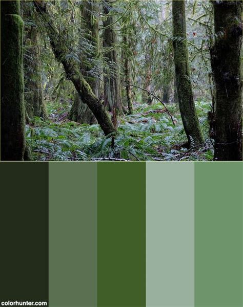 Forest Color Scheme from colorhunter.com Monochromatic Color Scheme ...