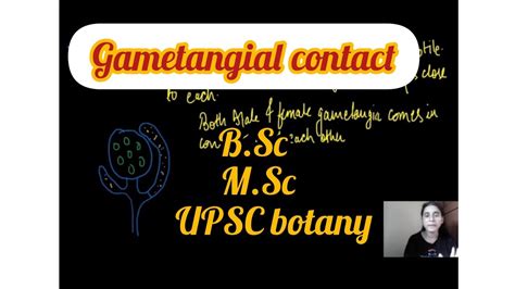 What is Gametangial Contact | Types of gametic fusion in fungi | Biology By Neha🌻 - YouTube