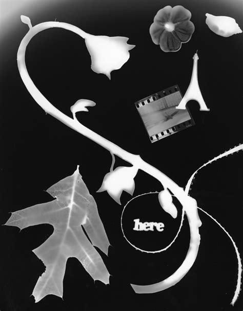 ASSIGNMENT #1: PHOTOGRAM – Ms. Patrick's iBlog