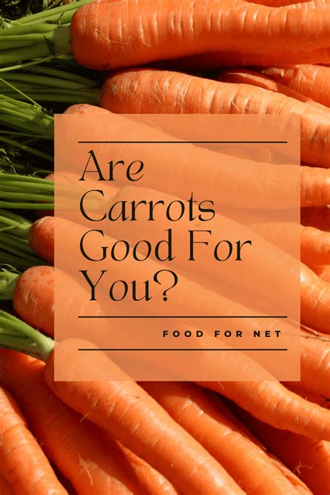 Are Carrots Good For You? | Food For Net