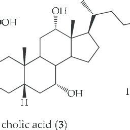 Structure of bile acids used for the synthesis of brassinolide and its... | Download Scientific ...