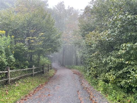 Fall color: Best times to visit the Smokies