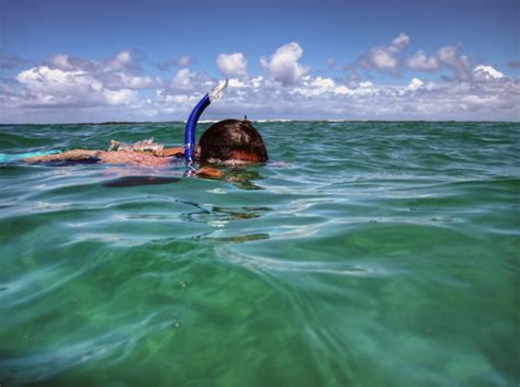 Kauai's Best Snorkeling Beaches & Tips | Suite Paradise