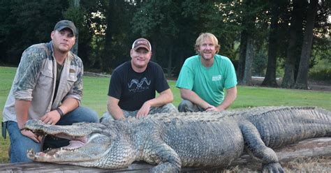 792-Pound Alligator Breaks State Hunting Record in Mississippi