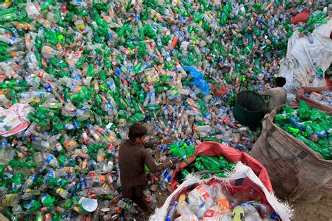 Why the plastic bottles you recycle will probably still end up in a landfill | IBTimes UK