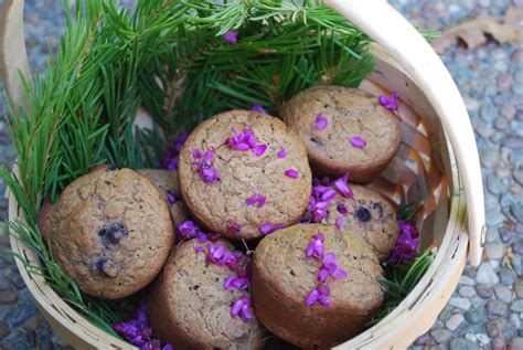 Redbud Blossom Muffins! | Wild edibles recipes, Edible, Edible food