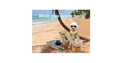 Wish You Were Here! Postcard | Zazzle.com