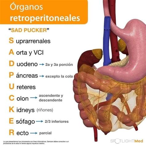 Pin en Nemotecnias