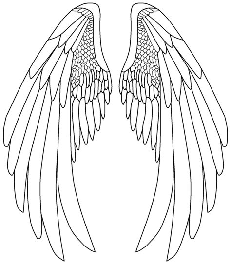 Angel Wing Drawings | Step by Step Tutorial