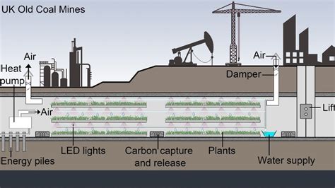 Old coal mines can be 'perfect' underground food farms - BBC News