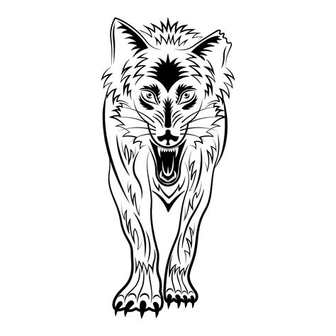 Wolf outline sketch front view isolated white background 5489467 Vector ...