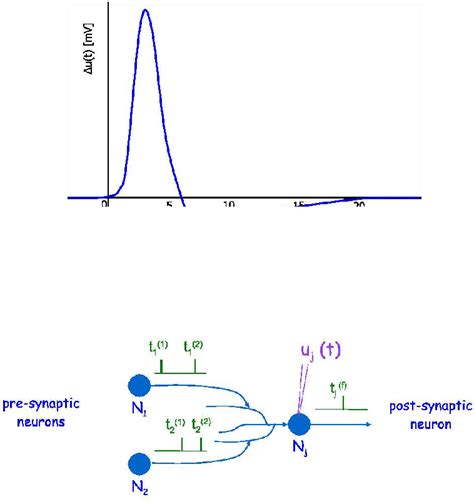 Figure 1 from A First Model for Hebbian Learning with Spiking Neural P ...