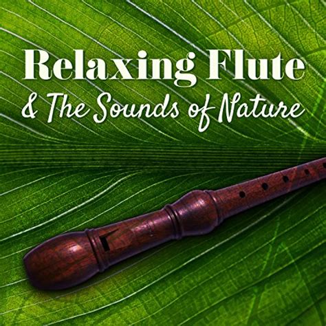 Play Relaxing Flute & The Sounds of Nature: Amazing Flute Music for Meditation Session, Spa ...