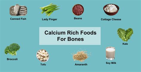 Top 15 Calcium Rich Foods for Bones by Dietitians | Livofy