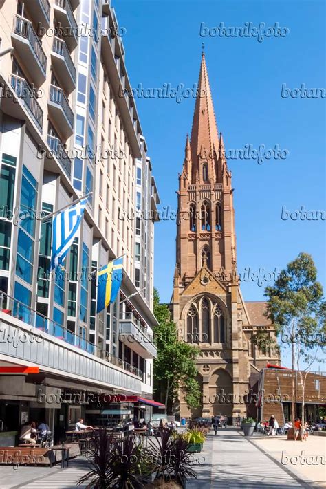 Image St Paul's Cathedral, Melbourne, Australia - 455161 - Images of ...