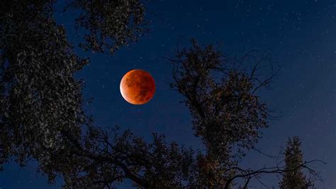 Full Beaver Moon Eclipse from New Mexico