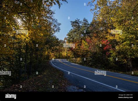 Fall foliage in forested mountains in Central Appalachia Stock Photo - Alamy