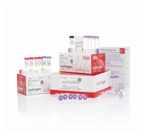 Invitrogen™ TOPO™ TA Cloning™ Kit for Subcloning, with TOP10 E. coli (Supply Center Packaging ...