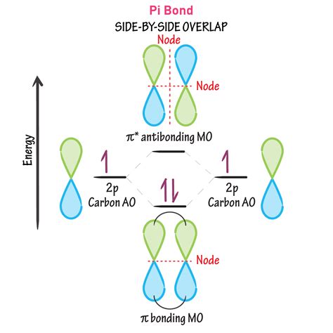 Biochemistry Glossary: Bonds - 3. Pi Bonds: Overlap | Draw It to Know It