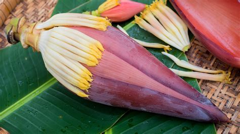 What Are Banana Flowers And Can You Eat Them?