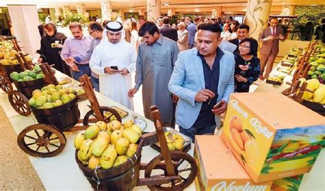 Rave reviews as Pakistan Mango Festival opens in Dubai | Arab News