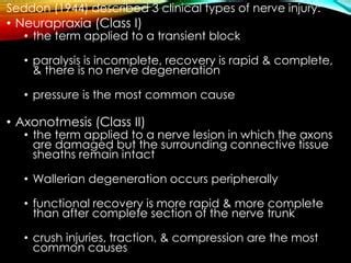 Nerve injury | PPT