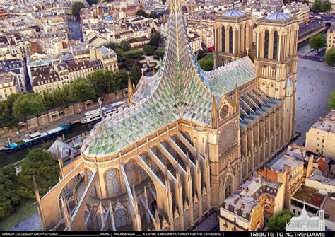 French Government Decides To Restore Notre Dame De Paris Cat