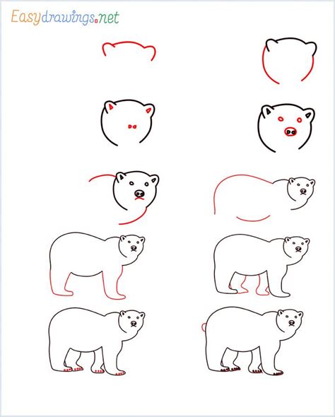 How to Draw a brown bear step by step - [10 Easy Phase] | Bear drawing ...