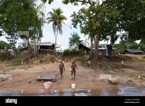 France, French Guiana, Parc Amazonien de Guyane (Guiana Amazonian Stock Photo, Royalty Free ...