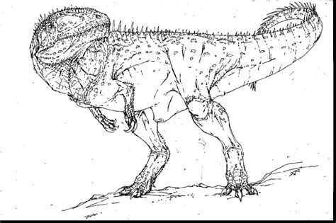 T Rex Skeleton Coloring Page at GetColorings.com | Free printable colorings pages to print and color