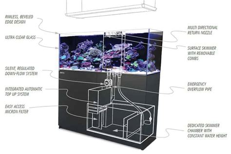 Aquarium Sumps: This Is Everything You Need To Know! – The Beginners Reef