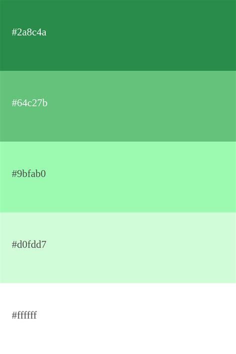 Paleta de cores verde menta [Códigos e combinações]