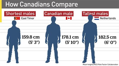 Perfect Male Height