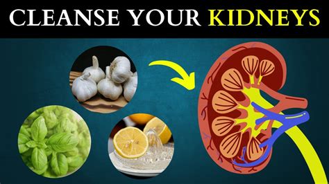 10 Foods to Cleanse Your Kidneys | KIDNEY DETOXING FOODS - YouTube