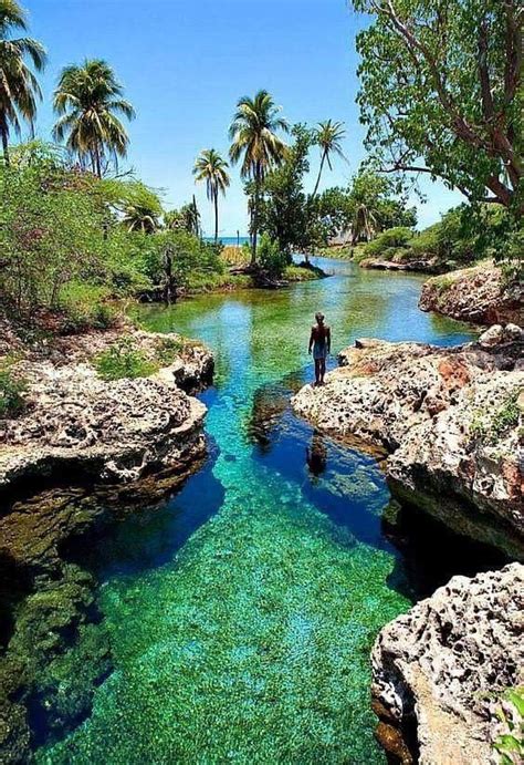 Gut River Manchester, Jamaica | Places to travel, Places to visit, Places to go