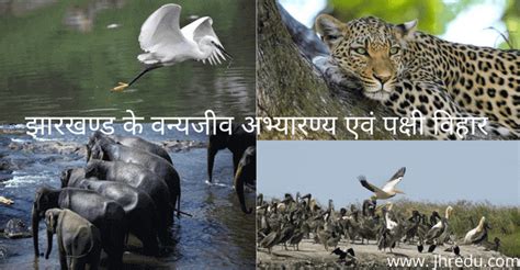 Wildlife Sanctuaries Of Jharkhand | झारखण्ड के वन्यजीव अभ्यारण्य